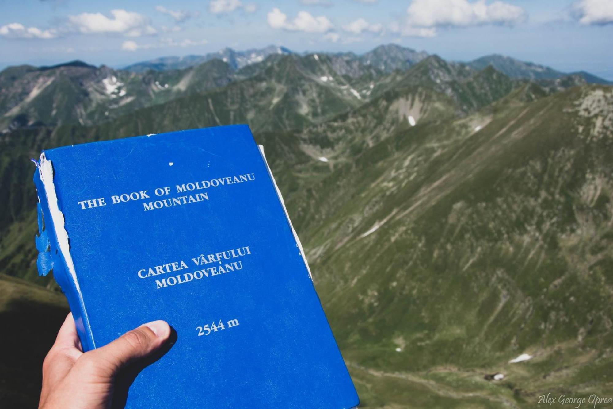 Willa Conacul Doamnei Corbi Zewnętrze zdjęcie